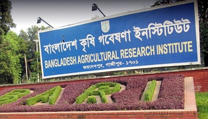 কোনো পরীক্ষা না দিয়েই, এমনকি আবেদন না করেই সরকারি চাকরি পেয়েছেন ৪২ জন