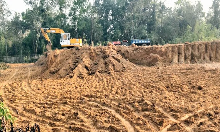 বড়লেখায় টিলা কেটে মাটি নিয়ে ফসলী জমি ভরাট করা হচ্ছে ইউপি মেম্বারের নেতৃত্বে