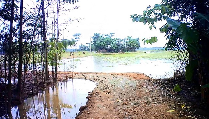 রাজনগরের ফতেপুর ইউপি’র সুহেল মেম্বারের বিরুদ্ধে কাবিখা’র গম আত্নসাতের অভিযোগ