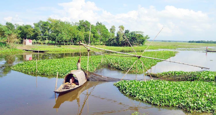 হবিগঞ্জের ভাটি এলাকা ভরা বর্ষায়ও জলহীন