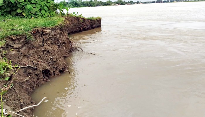 জগন্নাথপুরে কুশিয়ারা নদী ভাঙনে অসংখ্য বাড়িঘর বিলীন