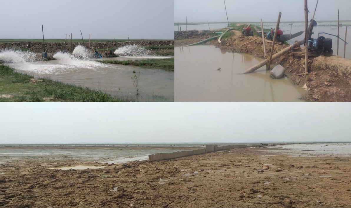 অভিযোগ দিয়েও কাজ হচ্ছে না হাকালুকির নাগুয়া বিলে সেচ মেশিনে মাছ নিধন