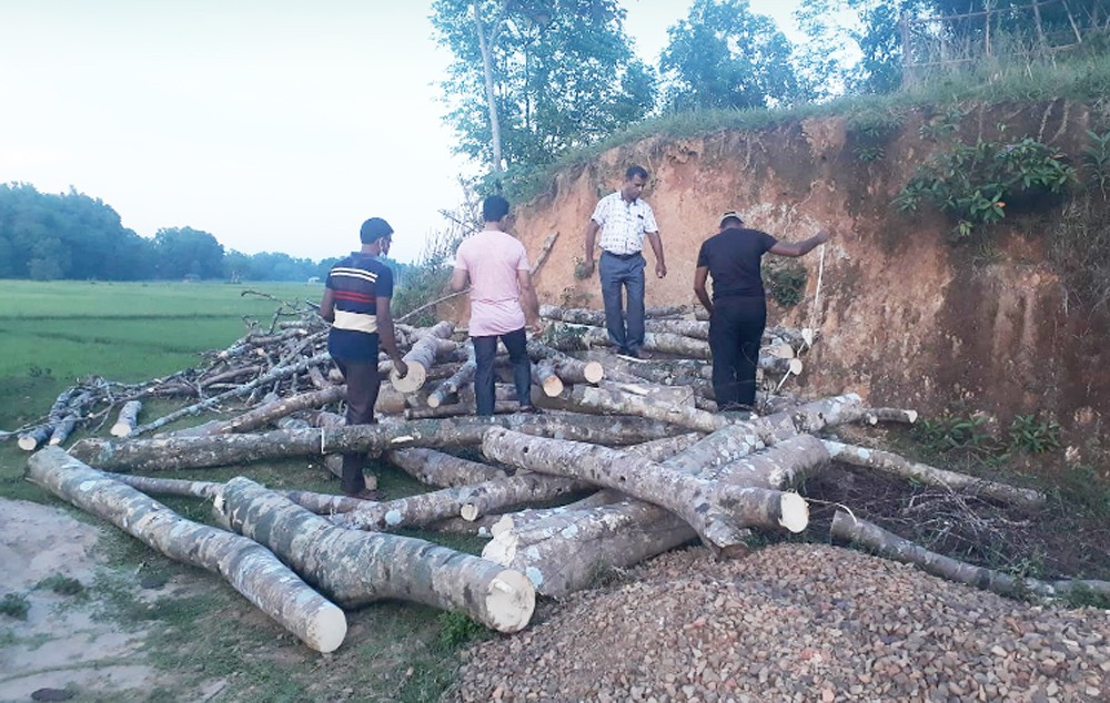 জুড়ীতে গাছ জব্দ : ৪০হাজার টাকা জরিমানা