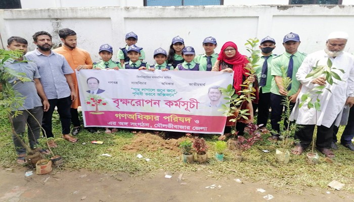 মৌলভীবাজারে গণঅধিকার পরিষদের বৃক্ষরোপন অনুষ্ঠিত