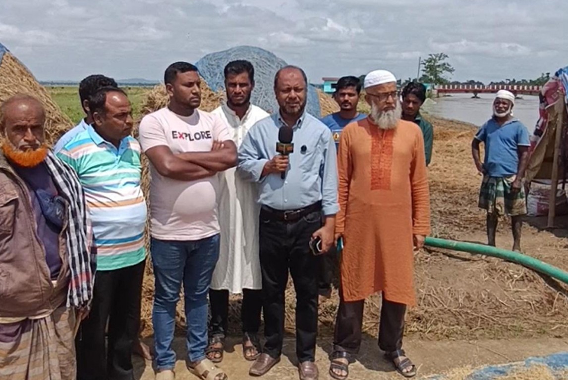 অতিবৃষ্টি ও পাহাড়ি ঢলে হাকালুকি হাওরে তলিয়ে গেছে পাকা ধান। কৃষকের পাশে বিএনপি নেতা মাছুম রেজা চেয়ারম্যান