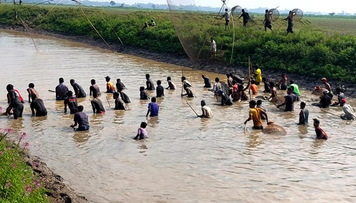 জগন্নাথপুরে পলো বাওয়া উৎসব অনুষ্ঠিত