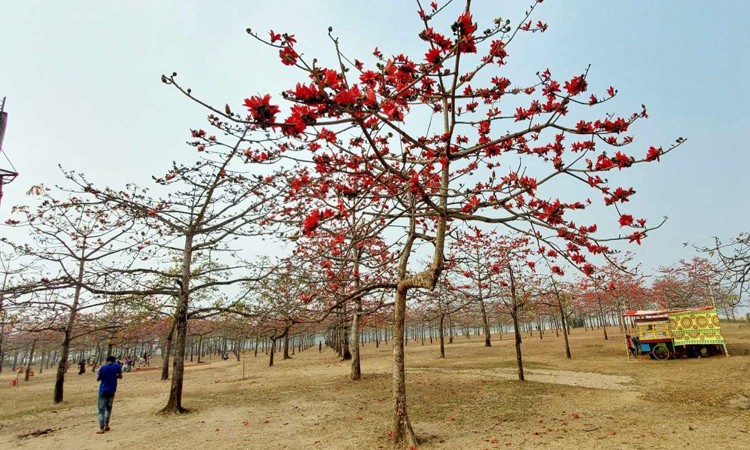 সুনামগঞ্জের যত দর্শনীয় স্থান