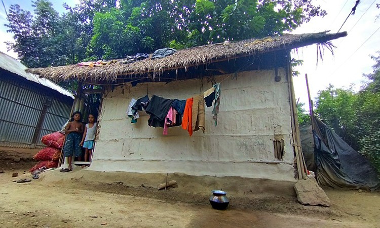 রোদ-বৃষ্টির মাঝে কাজ আর ভাঙ্গা ঘরে বসবাস করেই জীবন কাটায় চা শ্রমিকরা